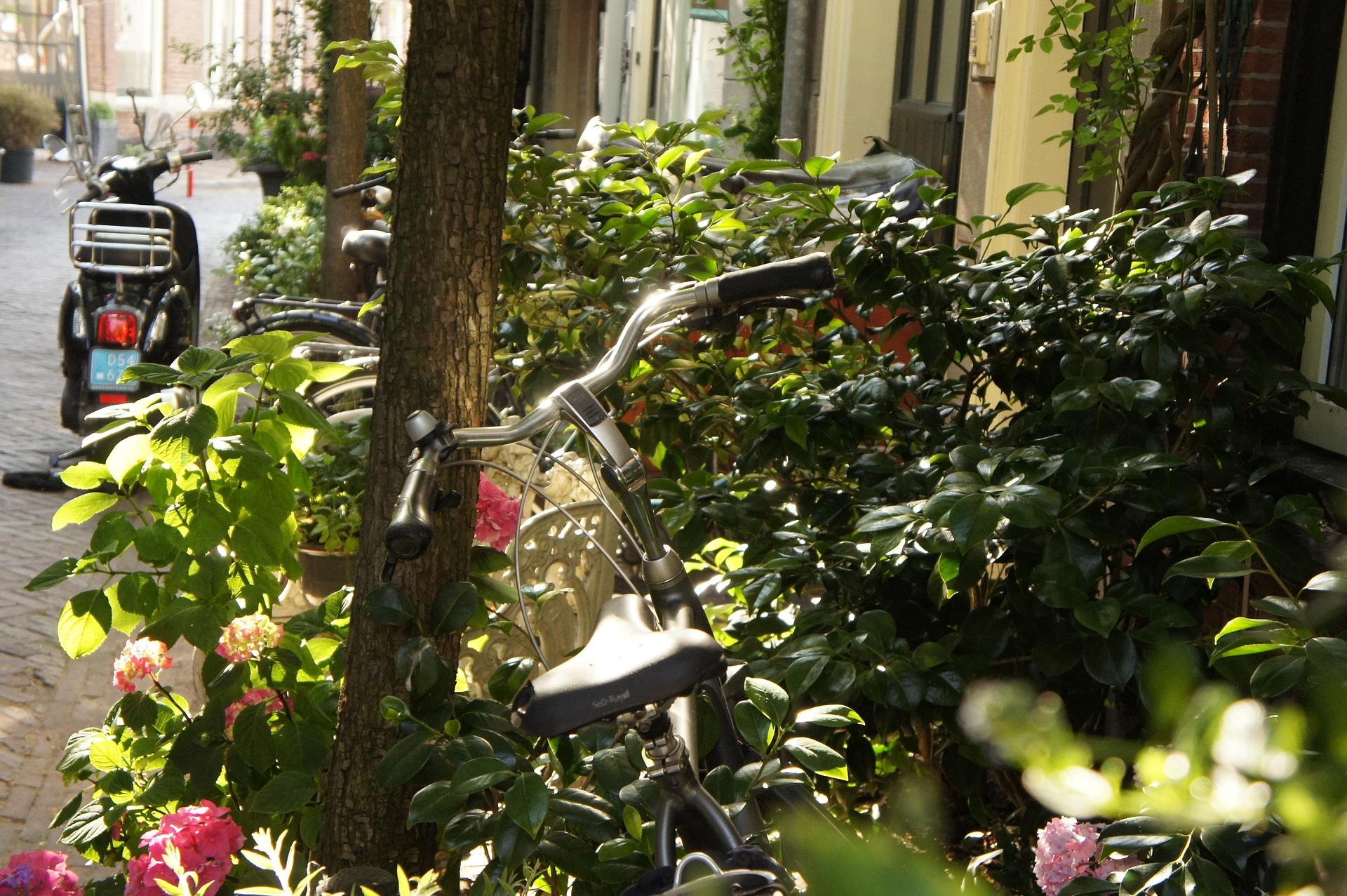 De klimaatbestendige wijk