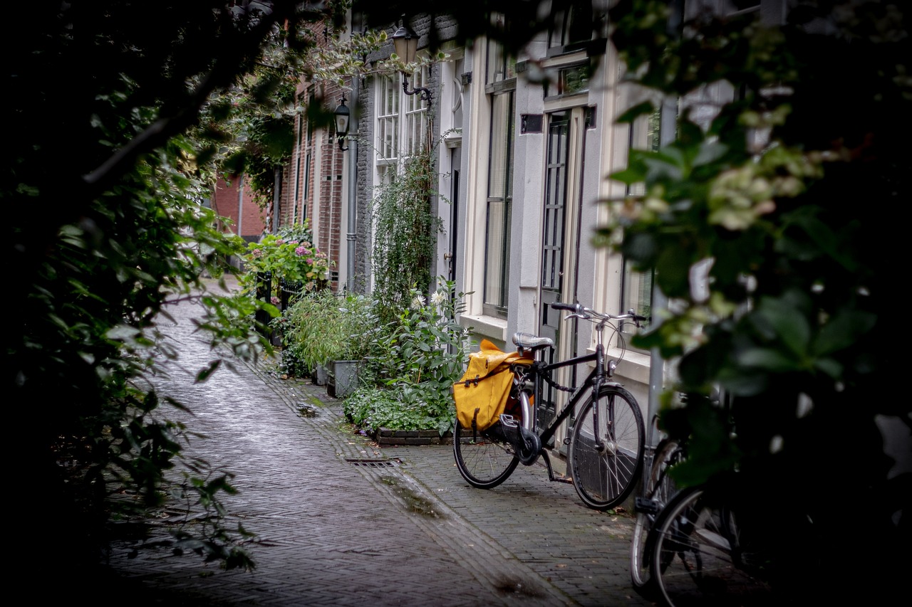 Ontwerpdenken bij wijkvernieuwing 